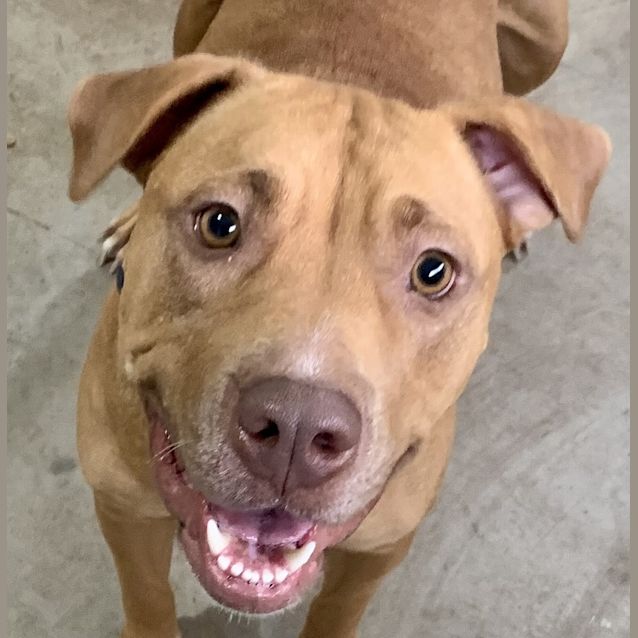 Photo of Trixie