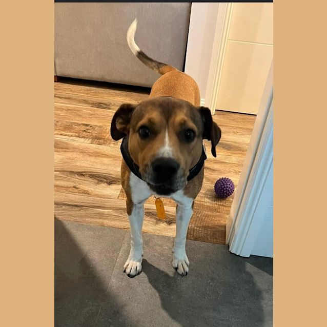 Photo of Bella