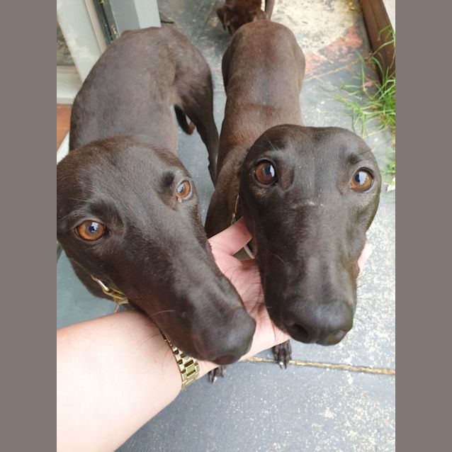 Photo of Thelma And Louise 