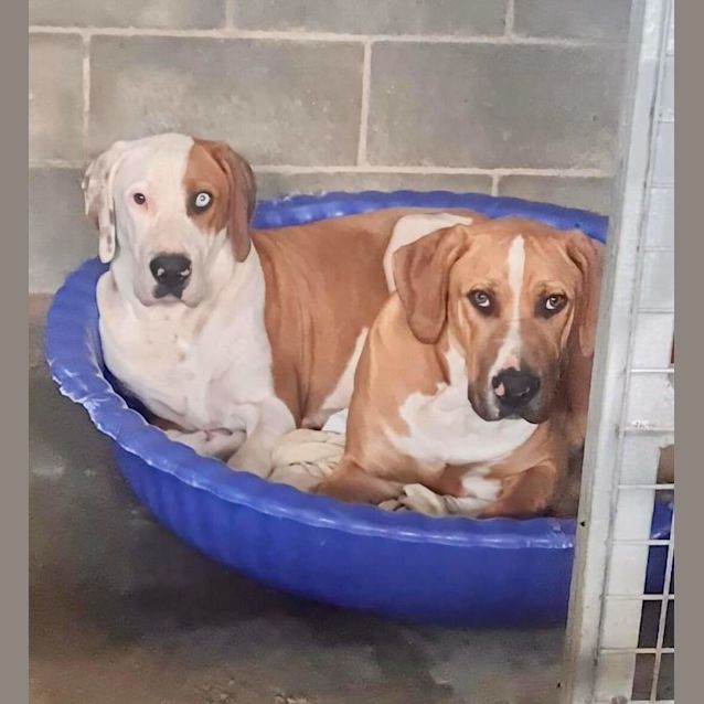 Photo of Foster Winston Or Frank