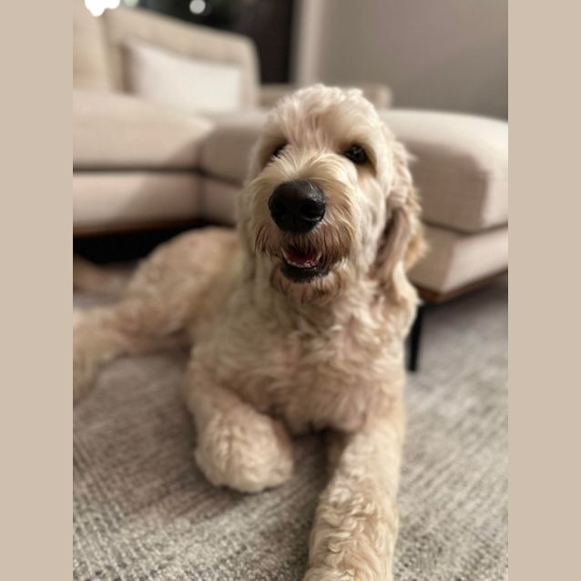 Photo of Archer