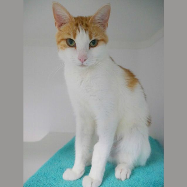 Photo of Jade Sua011180