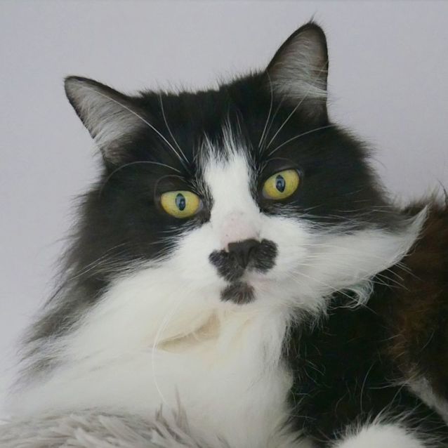 Photo of Nelly Rsua010196