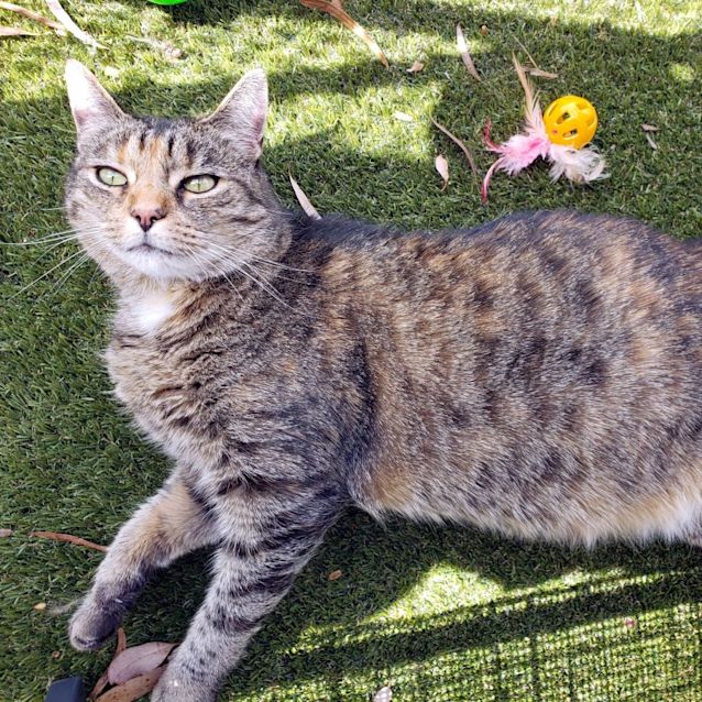 Photo of June Rsta009220