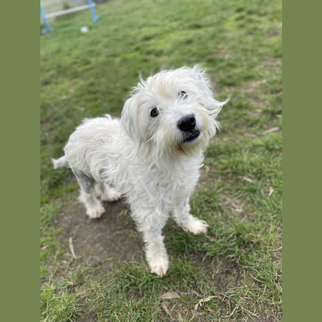 Photo of Suzie