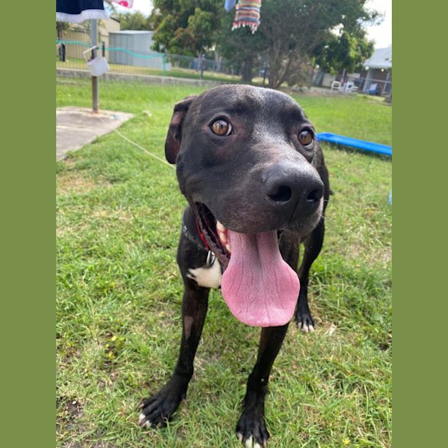 Photo of Voodoo