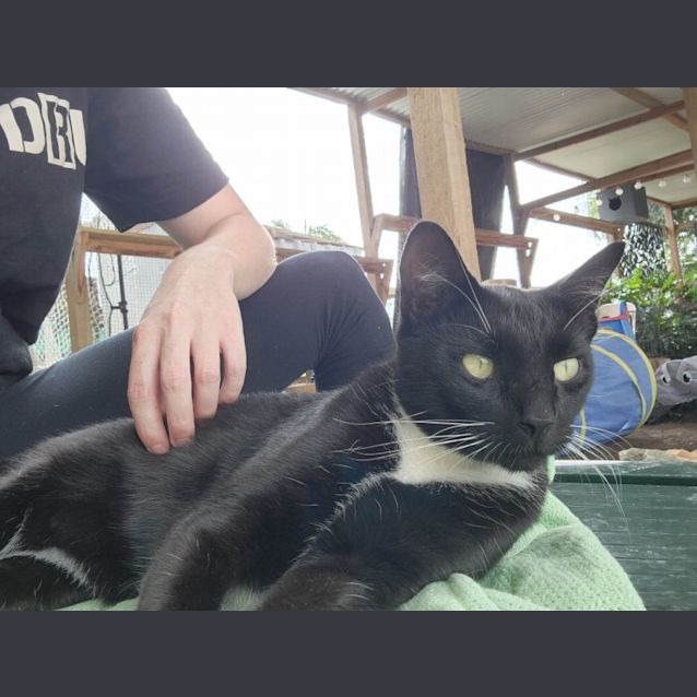 Photo of Max