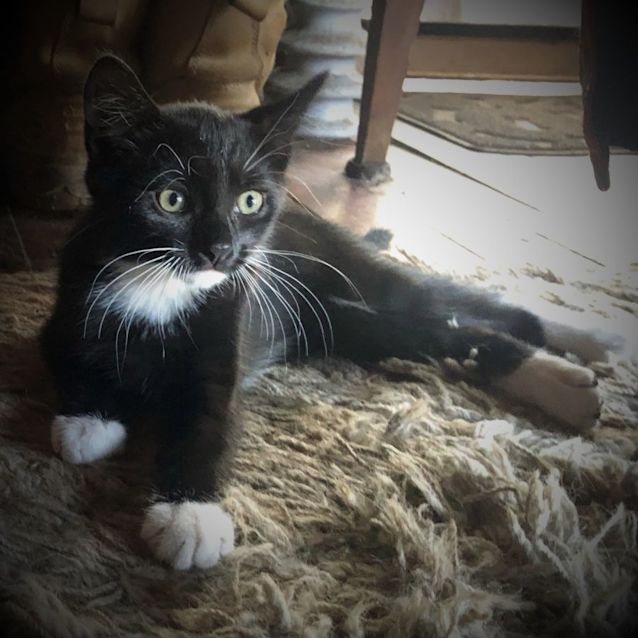 Photo of Iggy Azalea