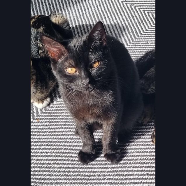 Photo of Charlie