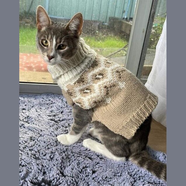 Photo of Henry Higgins