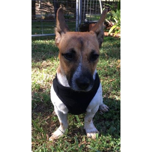 Photo of Matilda
