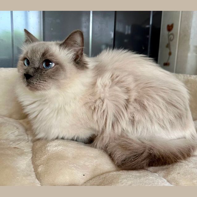 Photo of Fifi