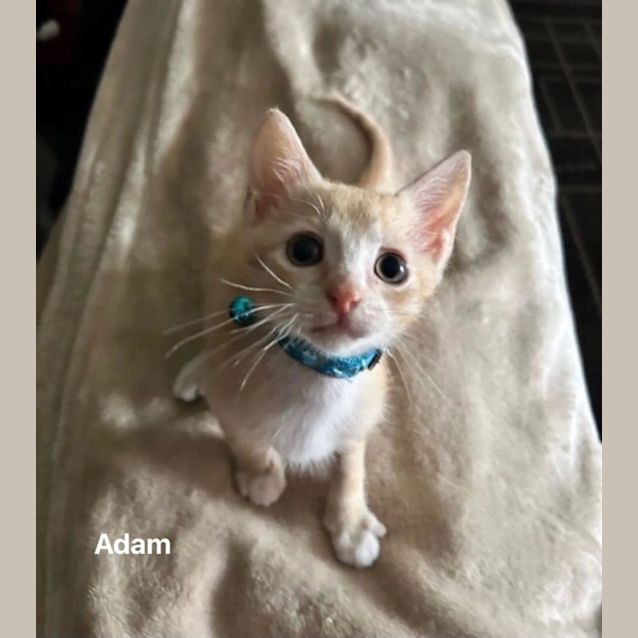 Photo of Adam