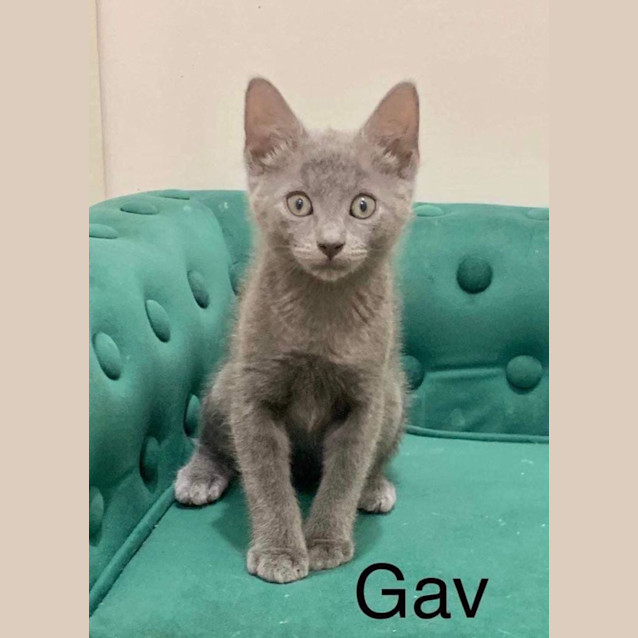 Photo of Gav