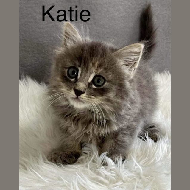 Photo of Katie