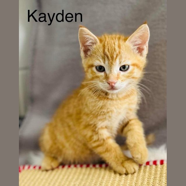 Photo of Kayden