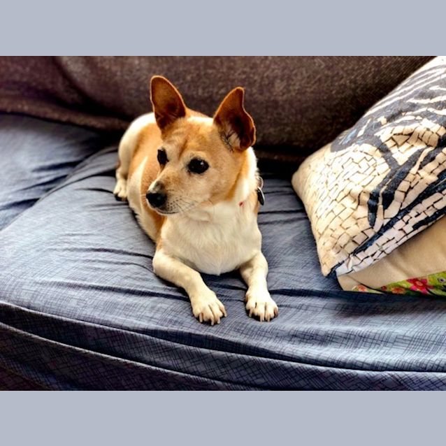 Photo of Fifi Quackenbush