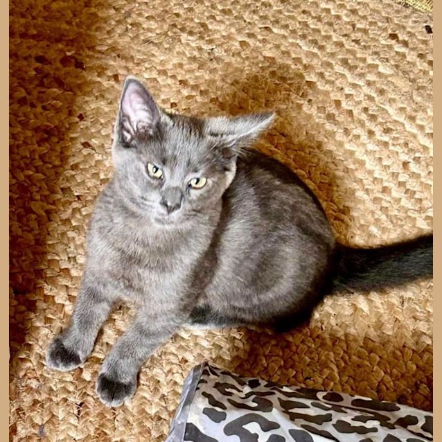 Photo of Wednesday And Enid 