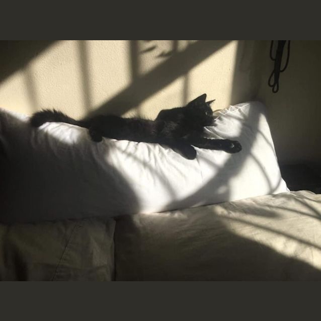 Photo of Wednesday And Enid