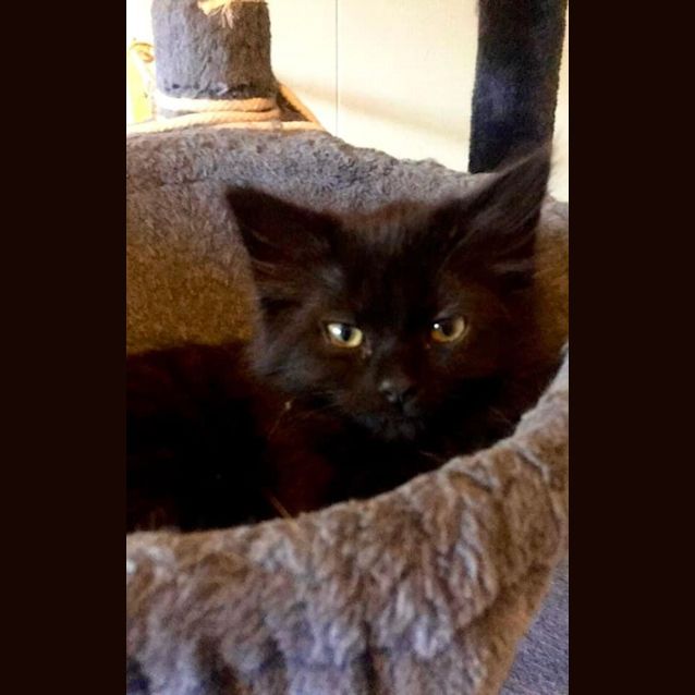 Photo of Wednesday And Enid