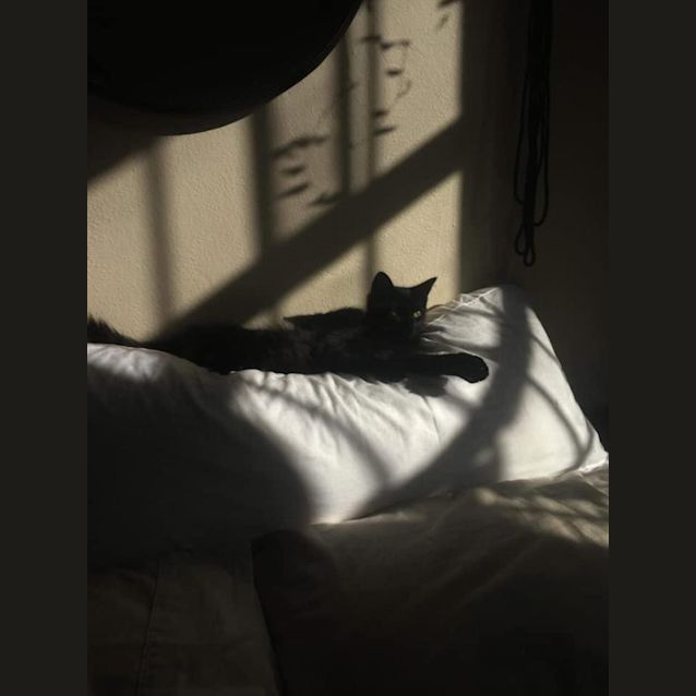 Photo of Wednesday And Enid