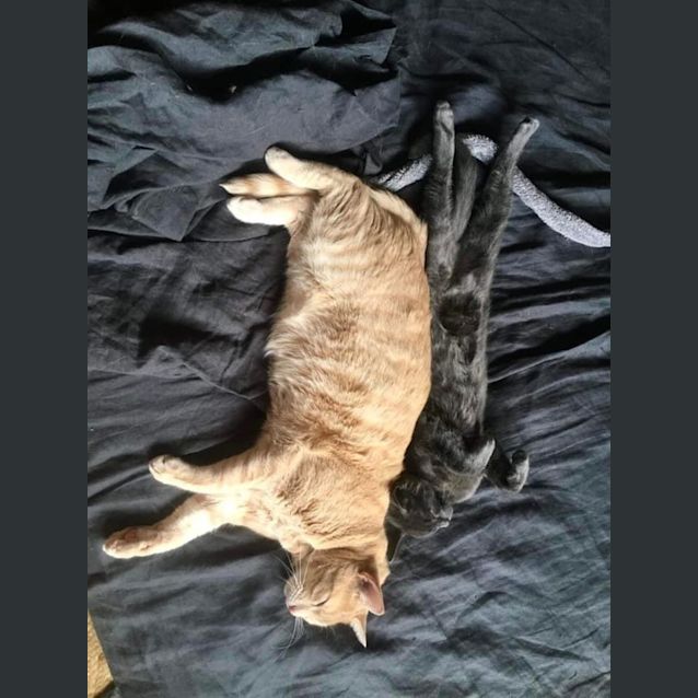 Photo of Wednesday And Enid