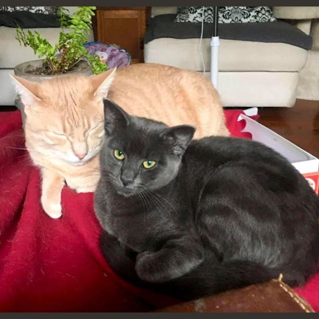 Photo of Wednesday And Enid