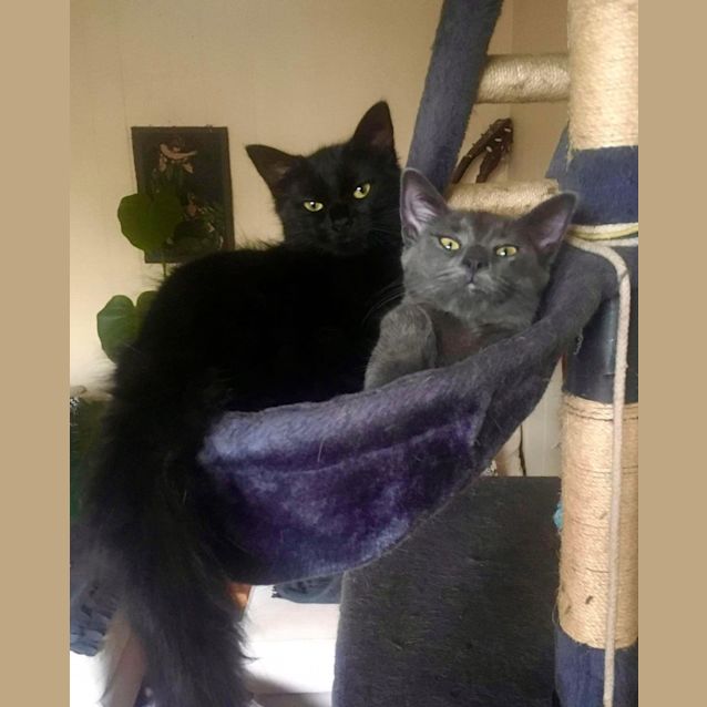 Photo of Wednesday And Enid