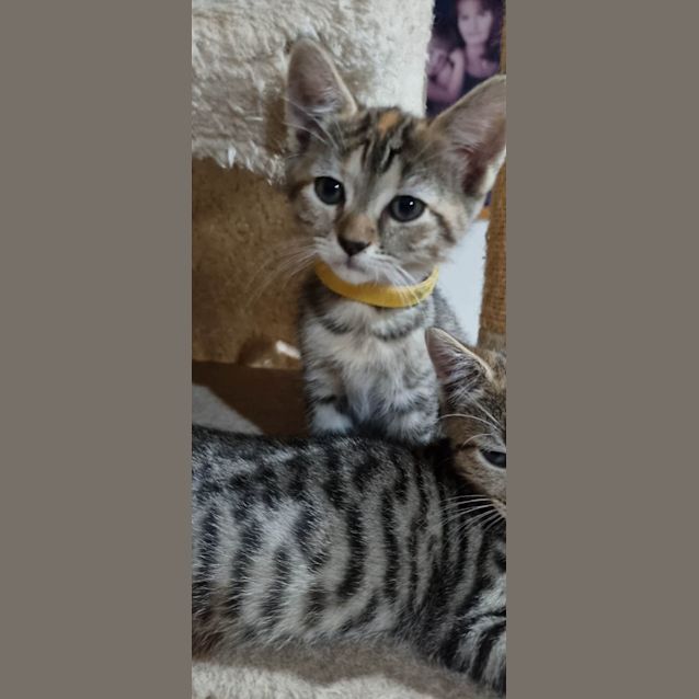 Photo of Mary Loo (K7)