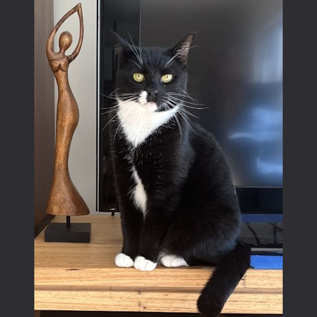 Photo of Bing   Located In Rosanna