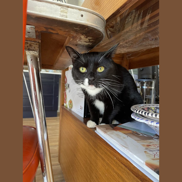 Photo of Bing   Located In Rosanna