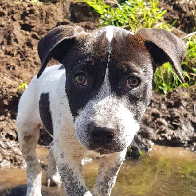 Photo of Sophie 🌼