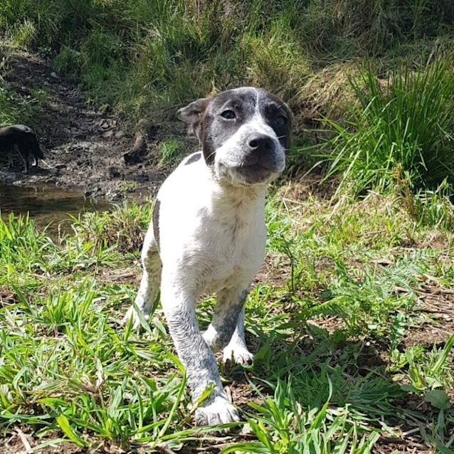 Photo of Sophie 🌼