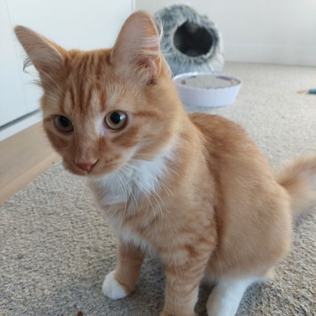 Photo of Motley