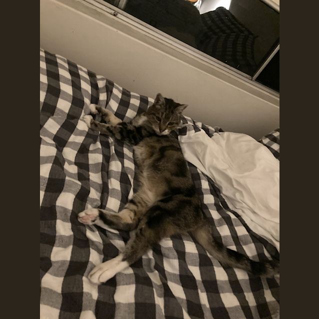Photo of Grandma Tiddles