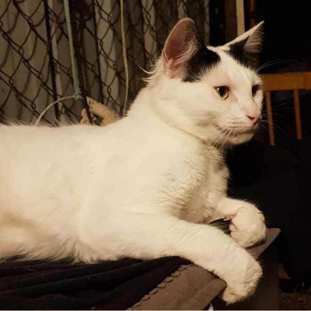 Photo of Mister