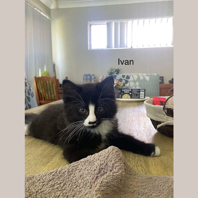 Photo of Ivan
