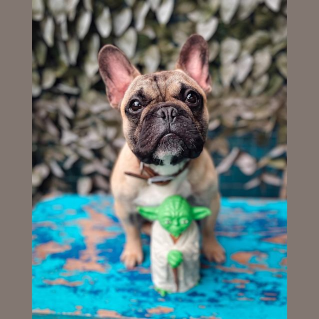 Photo of Spencer