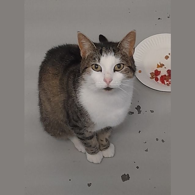 Photo of Abby