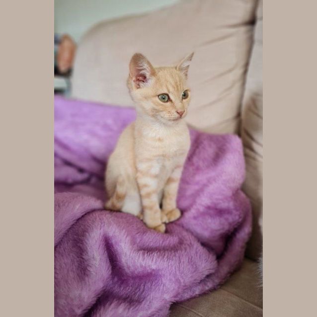 Photo of Miska Pembleton