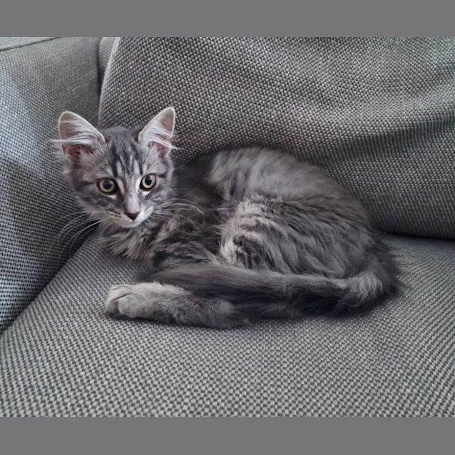 Photo of Sasha Pembleton