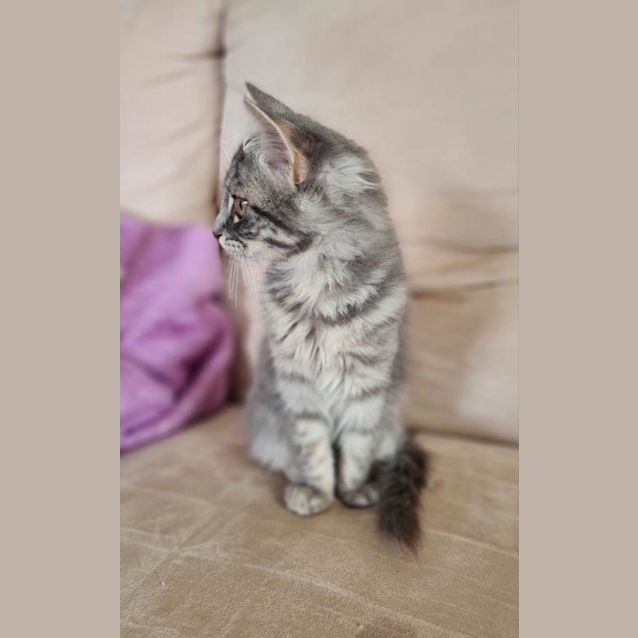Photo of Sasha Pembleton
