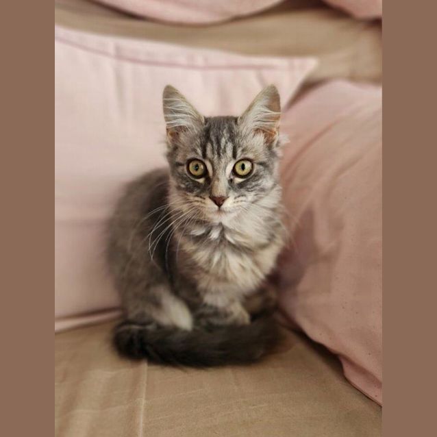 Photo of Sasha Pembleton