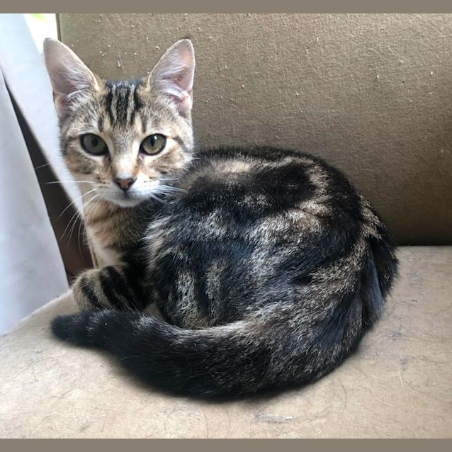 Photo of Lovely Lexi