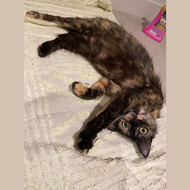 Photo of Tui (Located In Docklands)