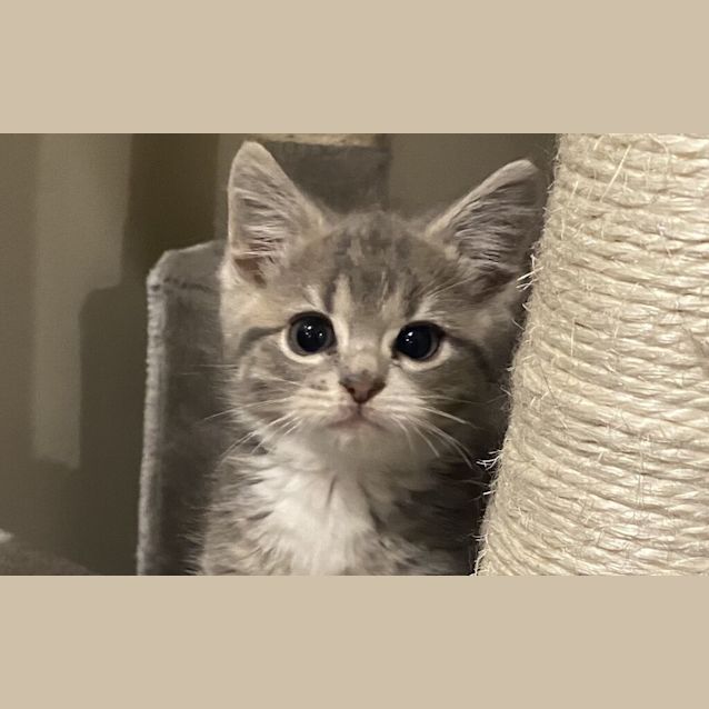 Photo of Binx