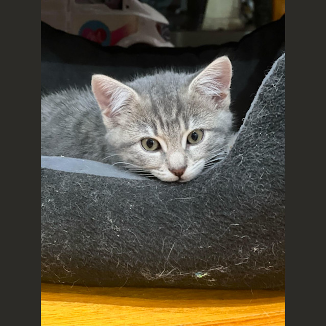 Photo of Happy Harvey