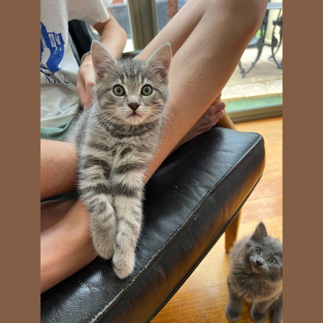 Photo of Happy Harvey