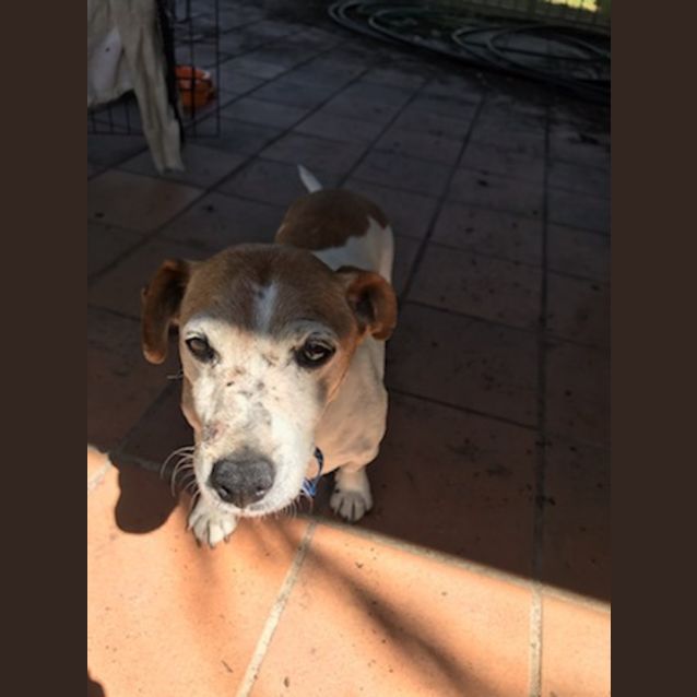 Photo of Jacko