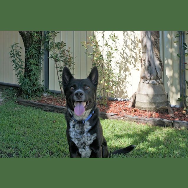 Photo of Jett